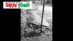 InShot_20250913_000248404