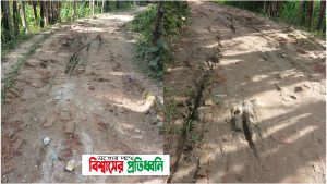 InShot_20250929_191616856