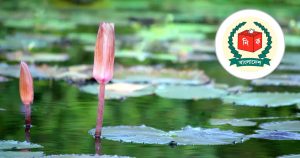 ec-sapla-20251030102617